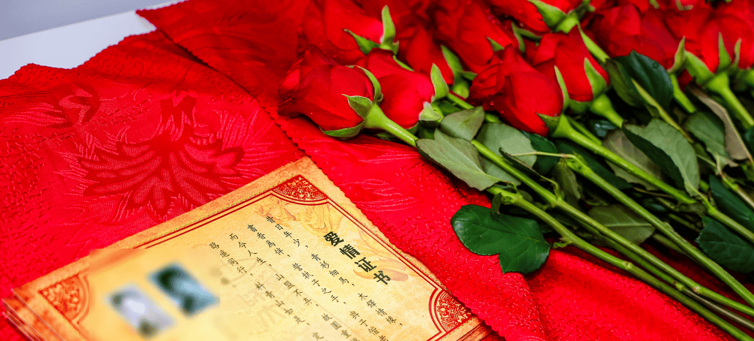 精彩回顾丨2025京师校友文化节集锦