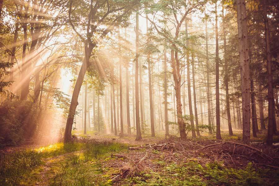 电竞解说大赛圆满结束,新声力量为电竞添彩